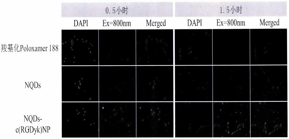 A near-infrared quantum dot probe for tracking glioma