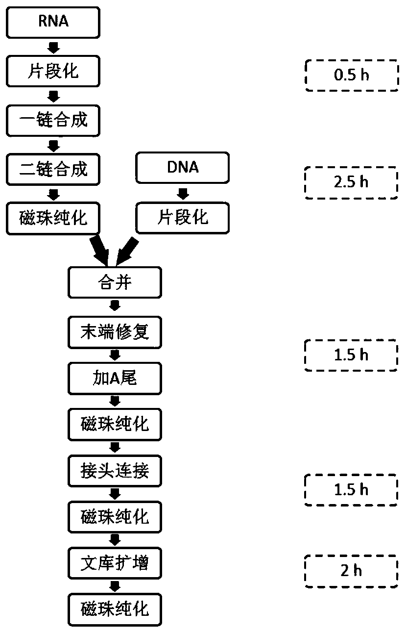Method and kit for simultaneously constructing sequencing library by DNA and RNA