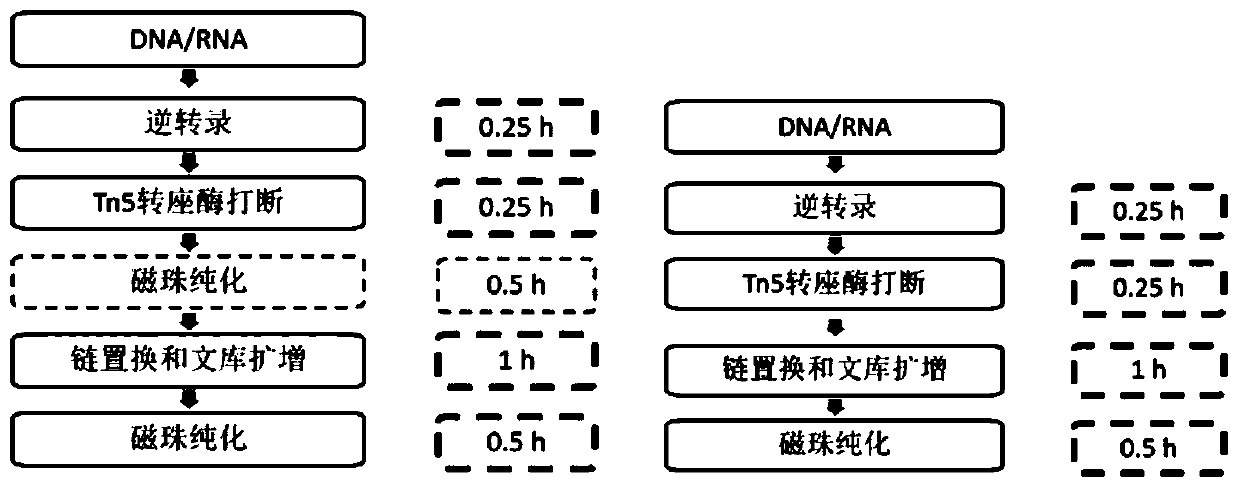 Method and kit for simultaneously constructing sequencing library by DNA and RNA