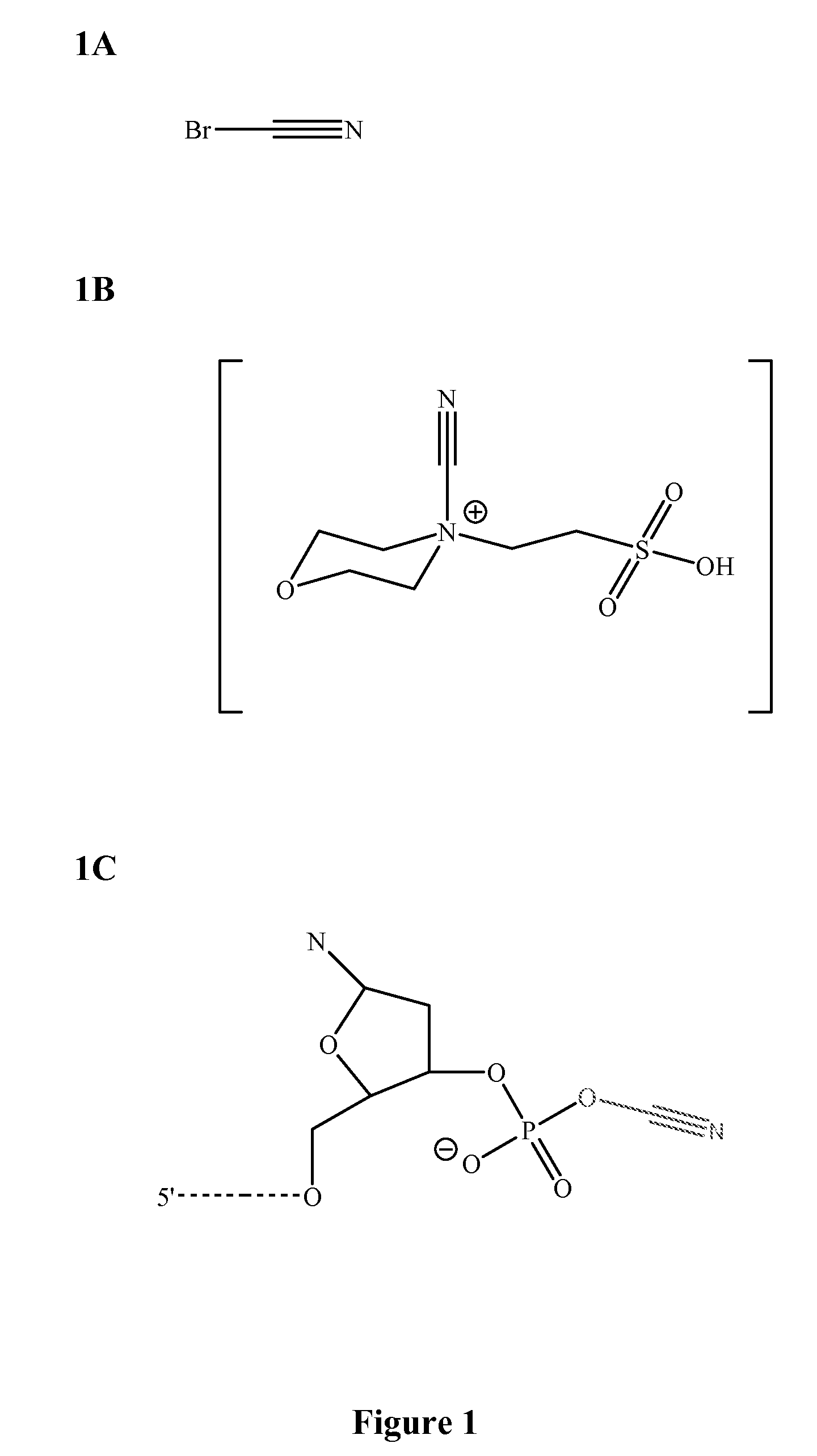 Methods and Compounds For Chemical Ligation