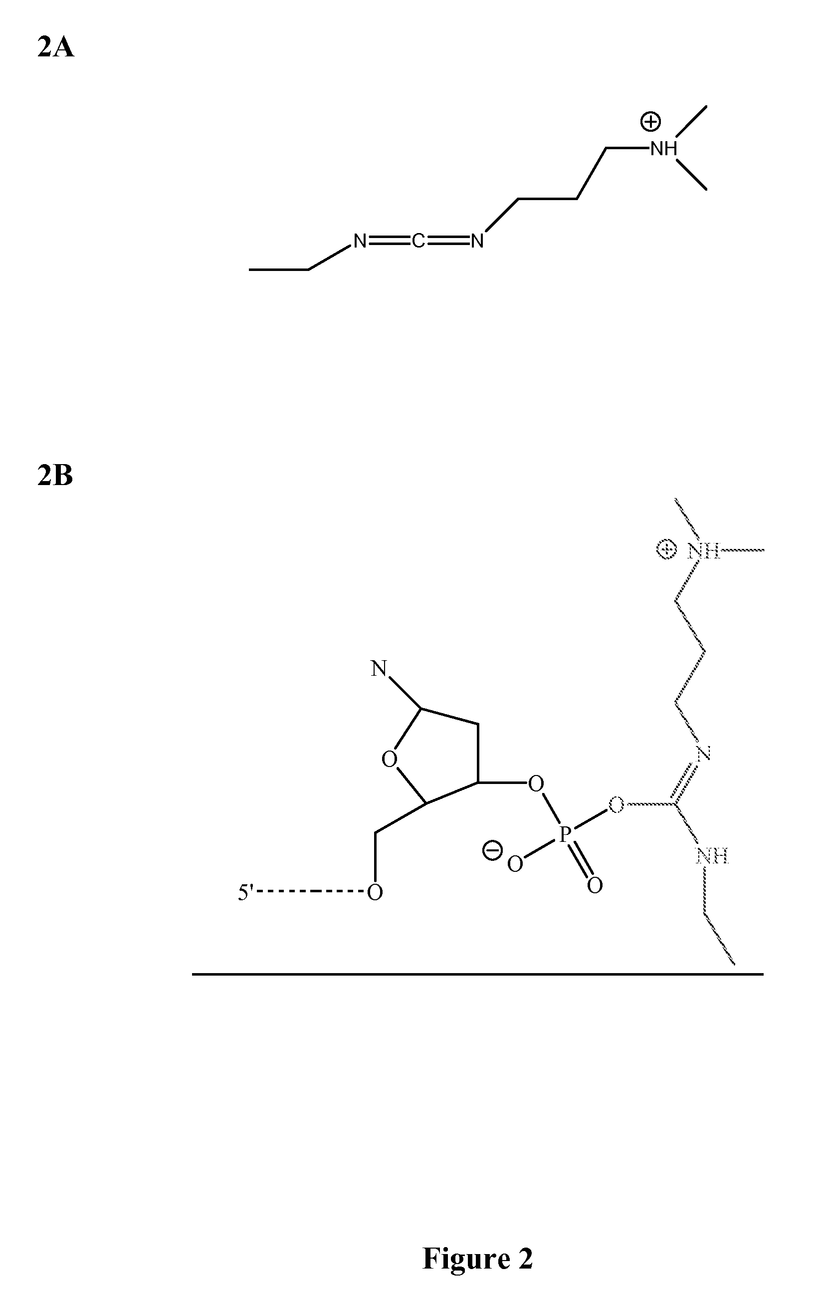 Methods and Compounds For Chemical Ligation