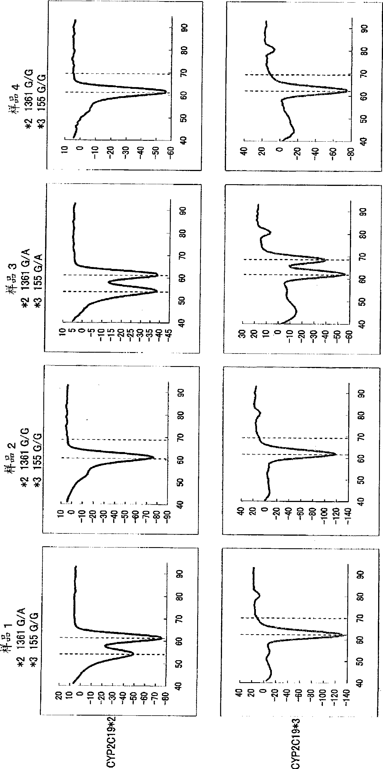 Primer set for amplification of CYP2C19 gene, reagent for amplification of CYP2C19 gene comprising the same, and use of the same