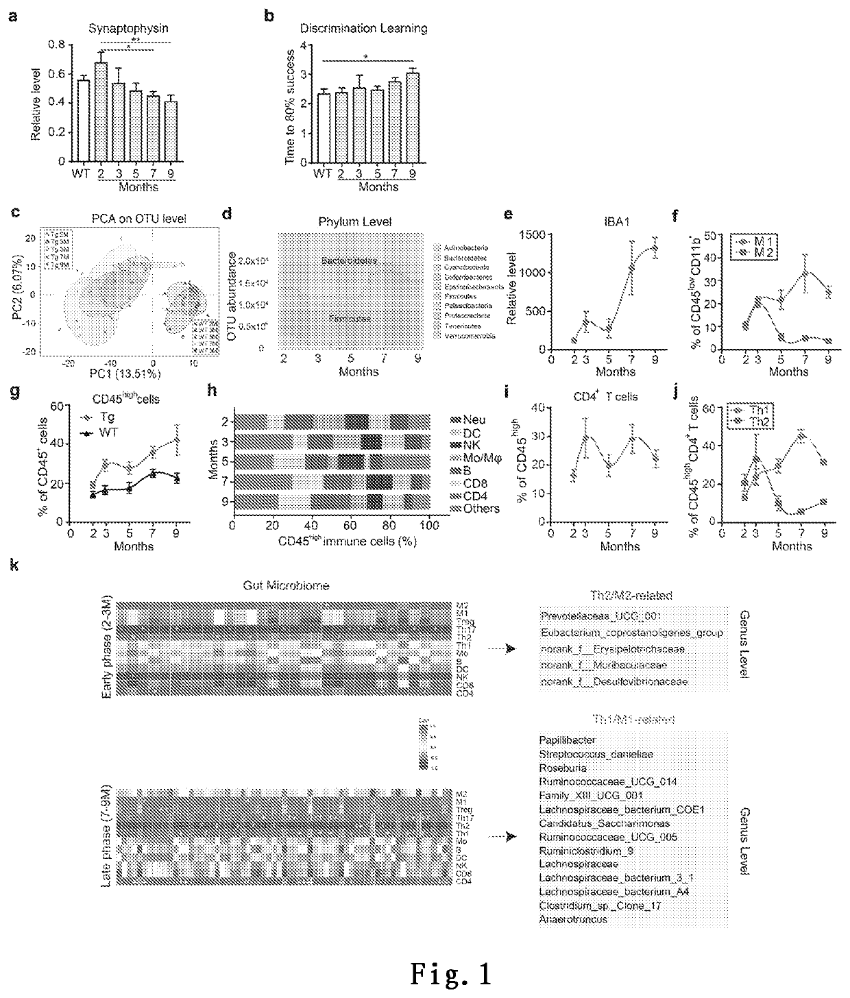 Method for treating alzheimer's disease by regulating amino acid level