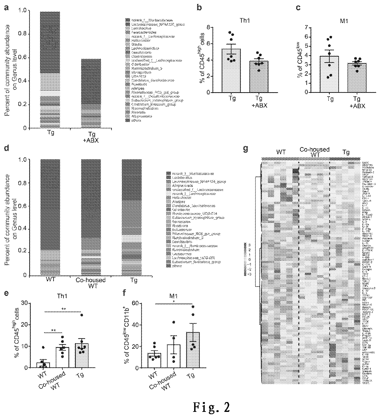 Method for treating alzheimer's disease by regulating amino acid level