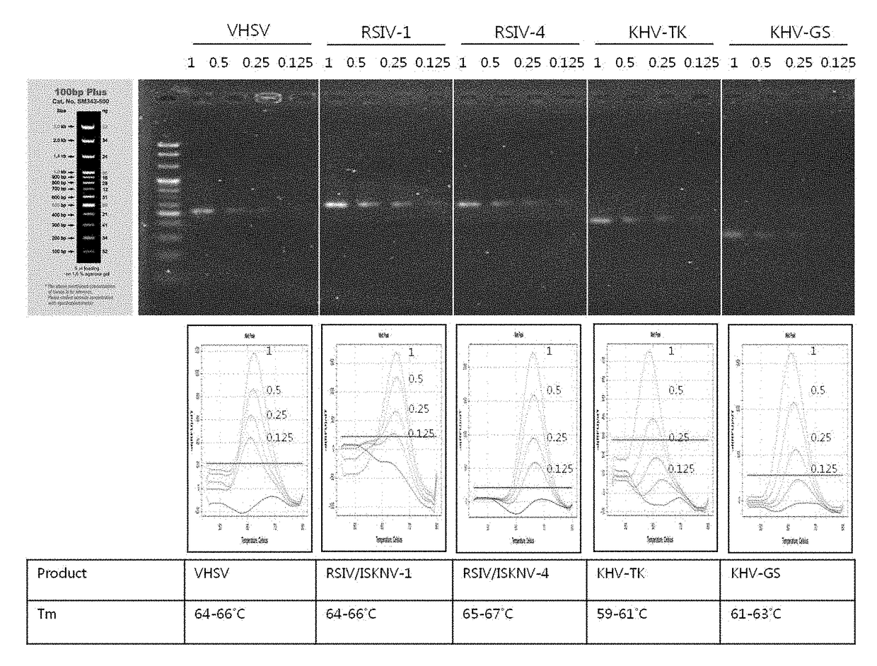 Genetic markers for discrimination and detection of viruses causing infectious aquatic organism diseases, and method of discriminating and detecting the viruses using the same