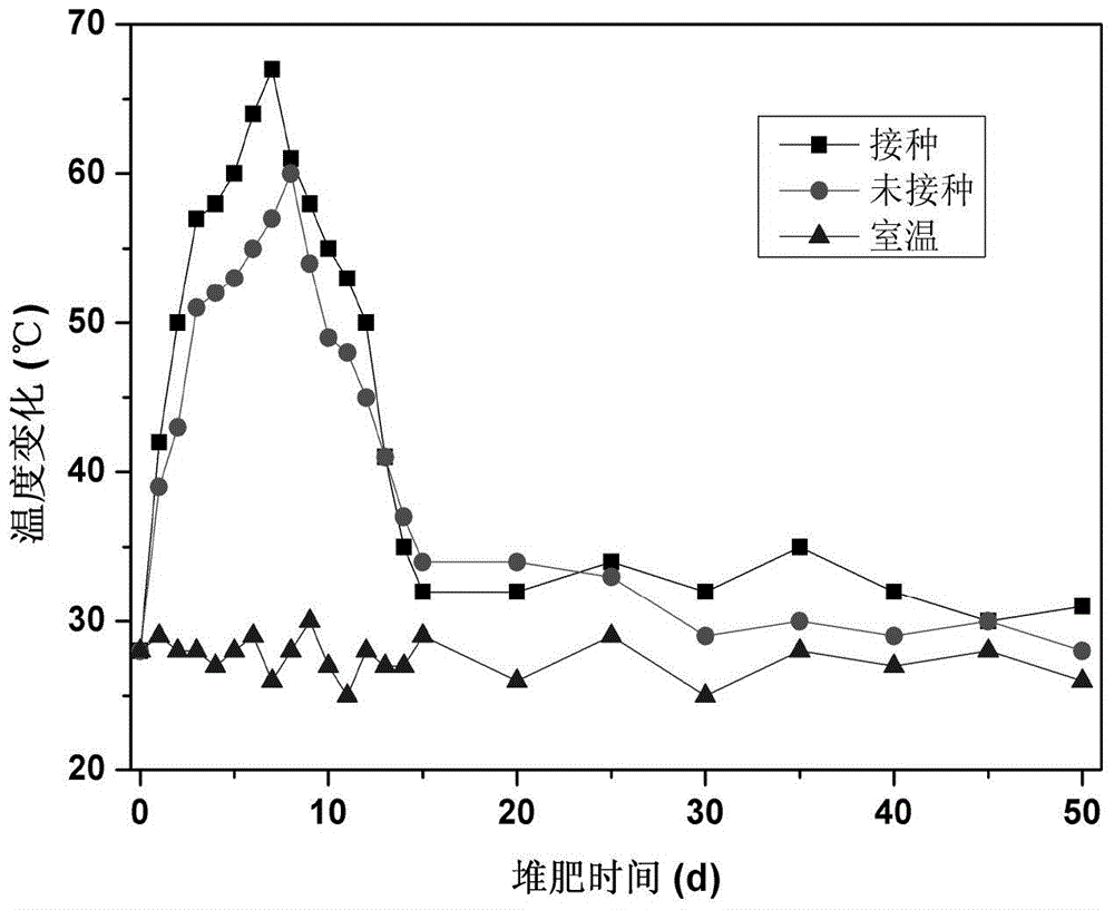 High-temperature cellulose degradation bacterium and application thereof