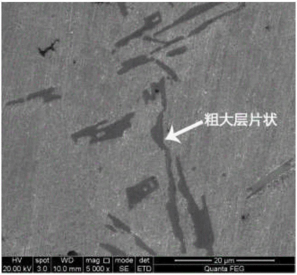 Method of metamorphosing hypo eutectic aluminum-silicon alloy by using rear earth Er