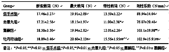 Application of peony seed oil in preparation of drugs and health food for improving male bone biomechanical properties