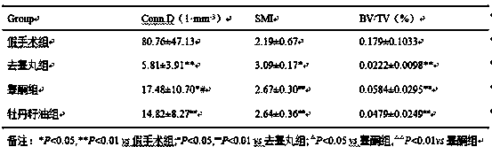 Application of peony seed oil in preparation of drugs and health food for improving male bone biomechanical properties