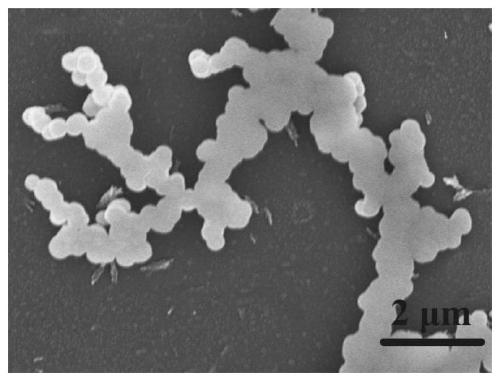 Dendritic self-similar metal-organic framework composites and their preparation and application