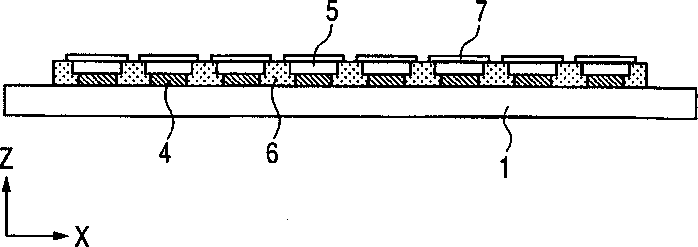 Light emitting screen structure and image forming apparatus