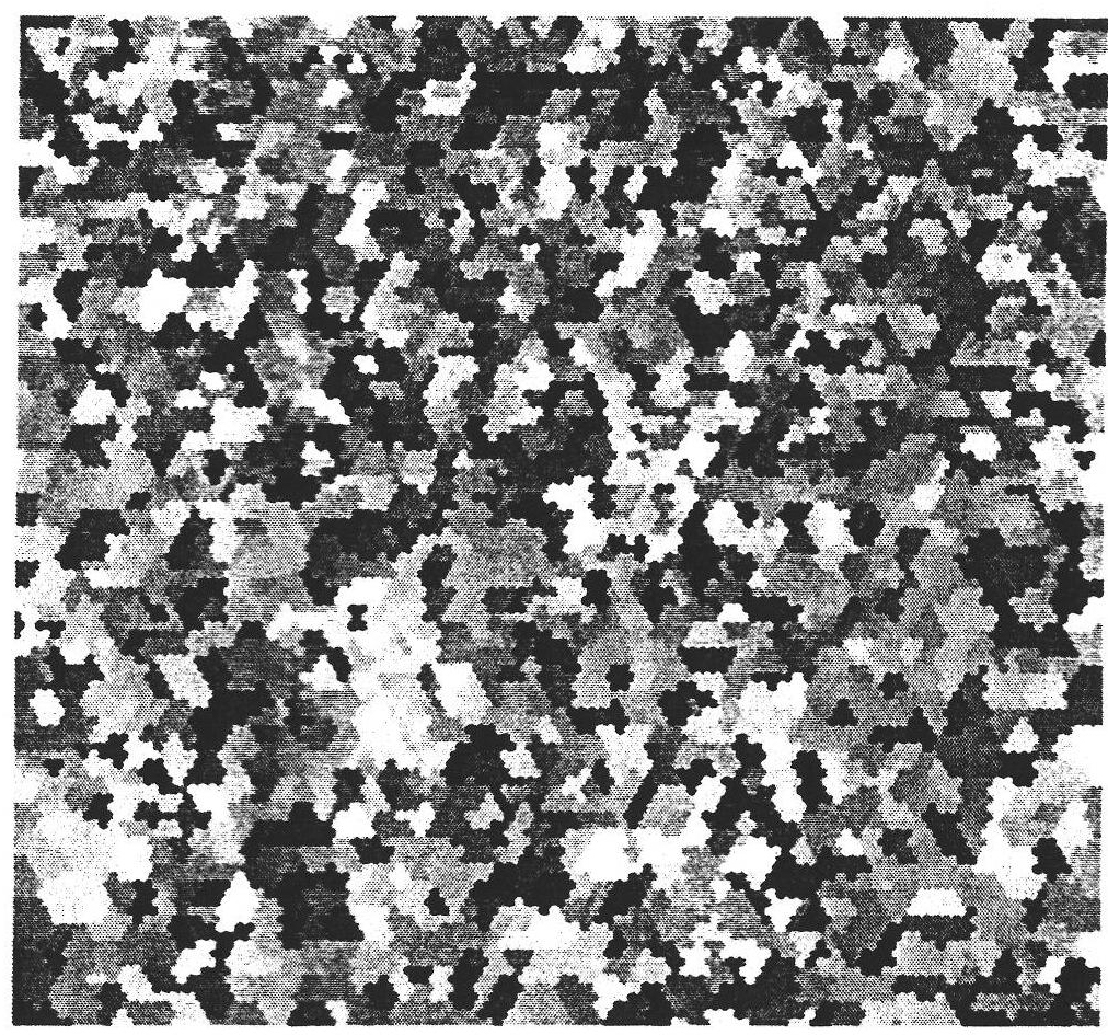 Electrolytic polishing method for high-strength hot rolling low carbon twinning induced plasticity (TWIP) steel