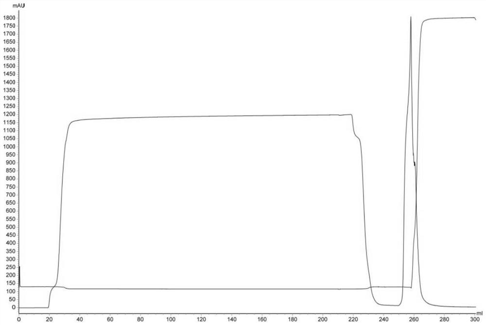 Method for removing residual host DNA and host protein in encephalitis B vaccine product