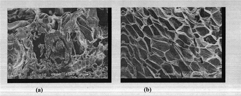 Method for preparing long chain branched polylactic resin by combining two-step functional group reaction