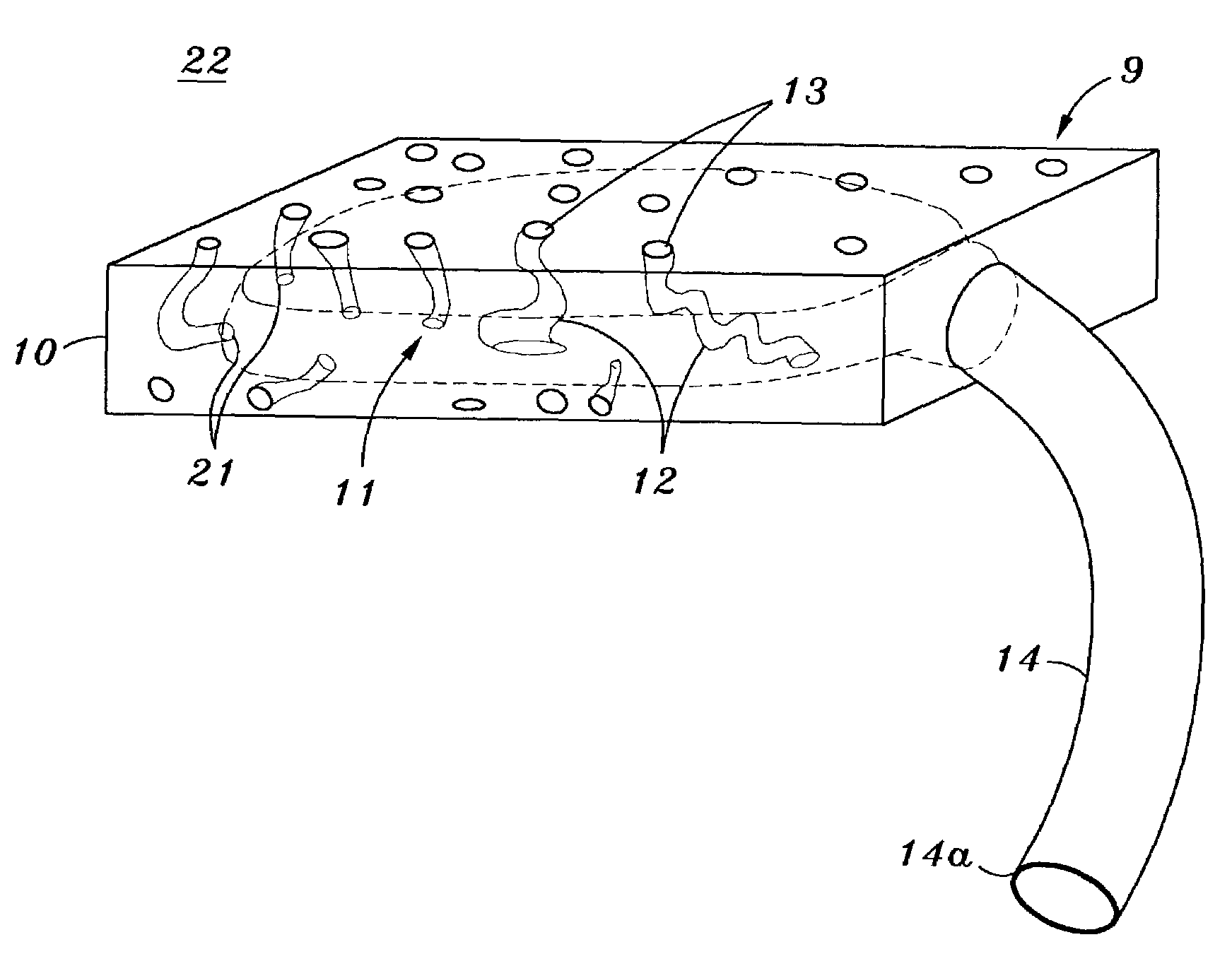 Time-released substance delivery device