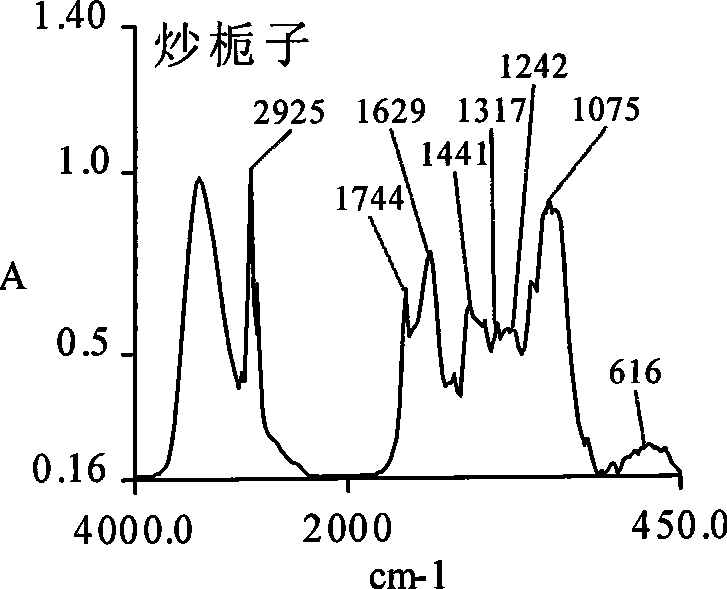 Stir-fried fructus gardenia dispensing granule as well as preparation method and quality control method thereof
