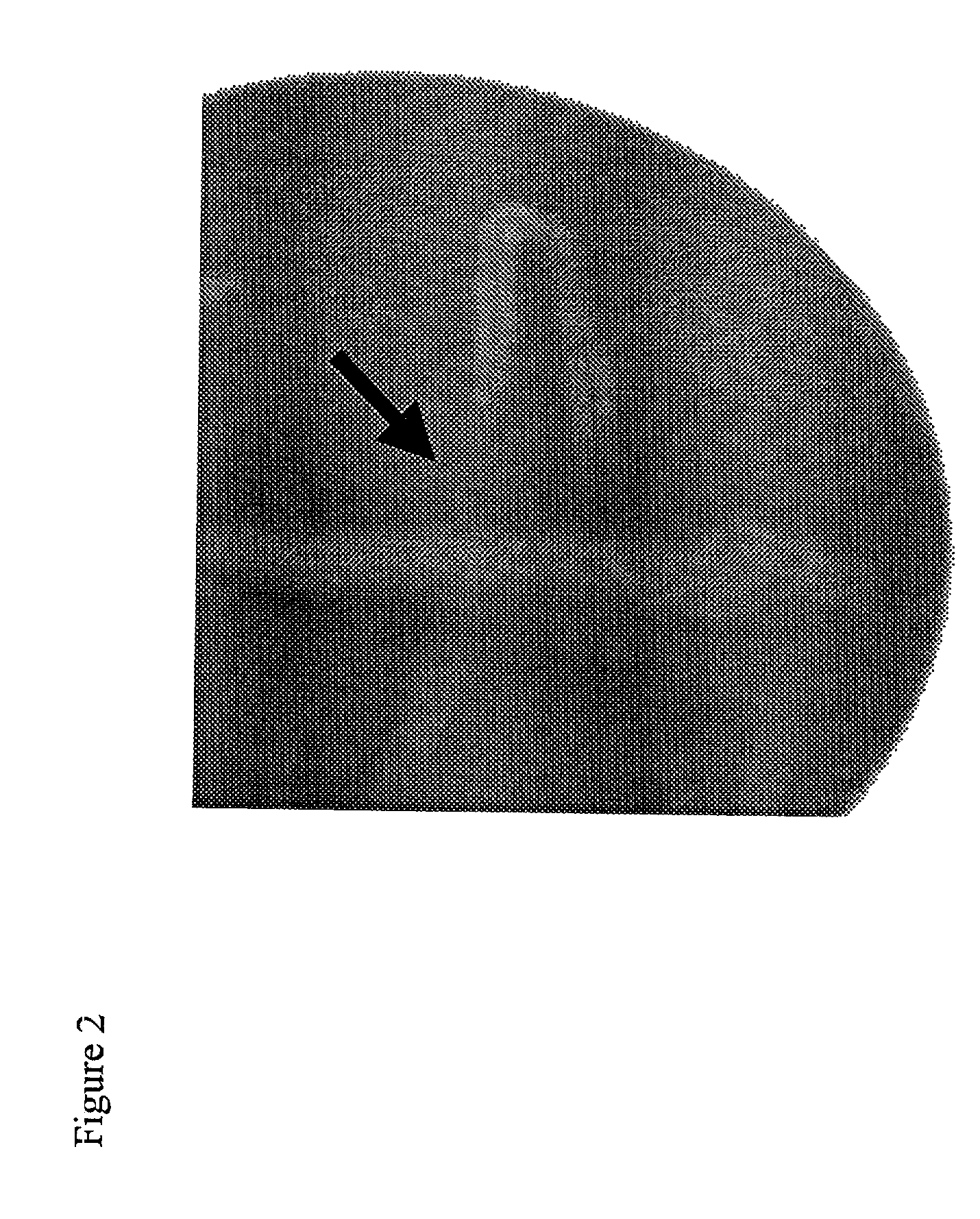 Method for the production of bacterial toxins