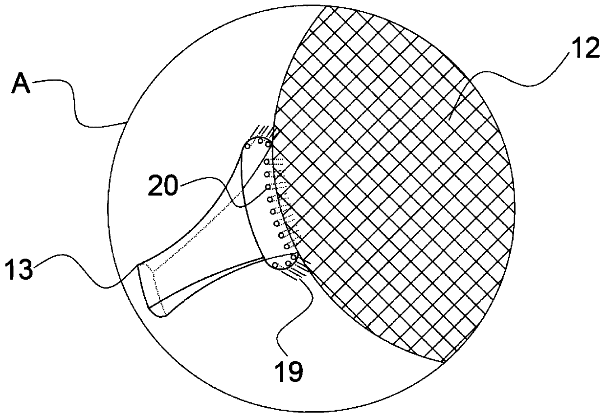 Tidal flat shellfish cleaning and grading device