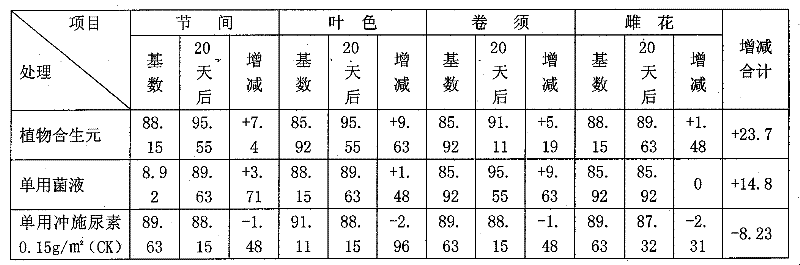 Microbial fertilizer-plant synbiotic composition preparation and method for preparing symbiotic preparation