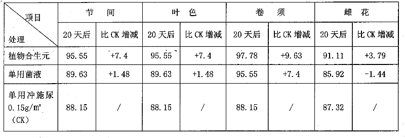 Microbial fertilizer-plant synbiotic composition preparation and method for preparing symbiotic preparation