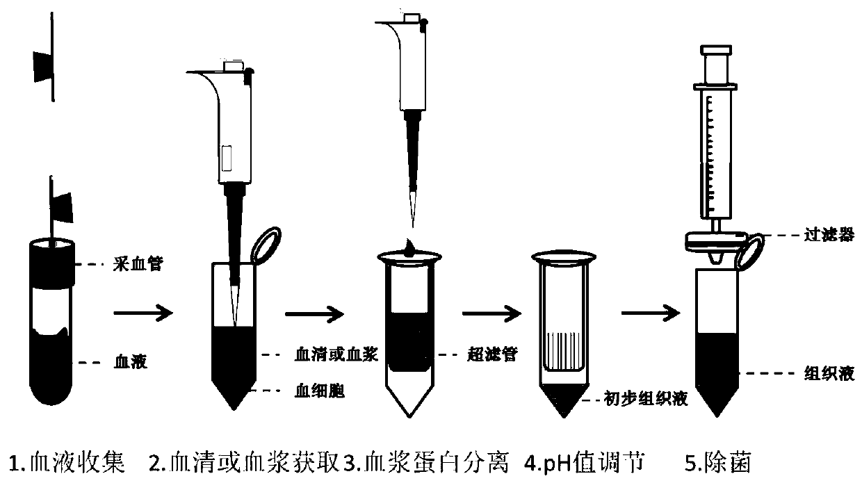 Preparation method of interstitial fluid