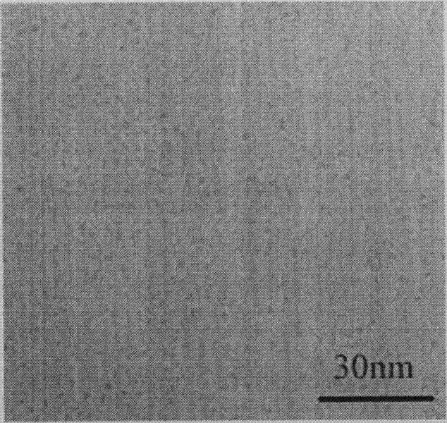 Noble metal nanocatalyst loaded on dendritic macromolecule functionalized graphene and preparation method thereof