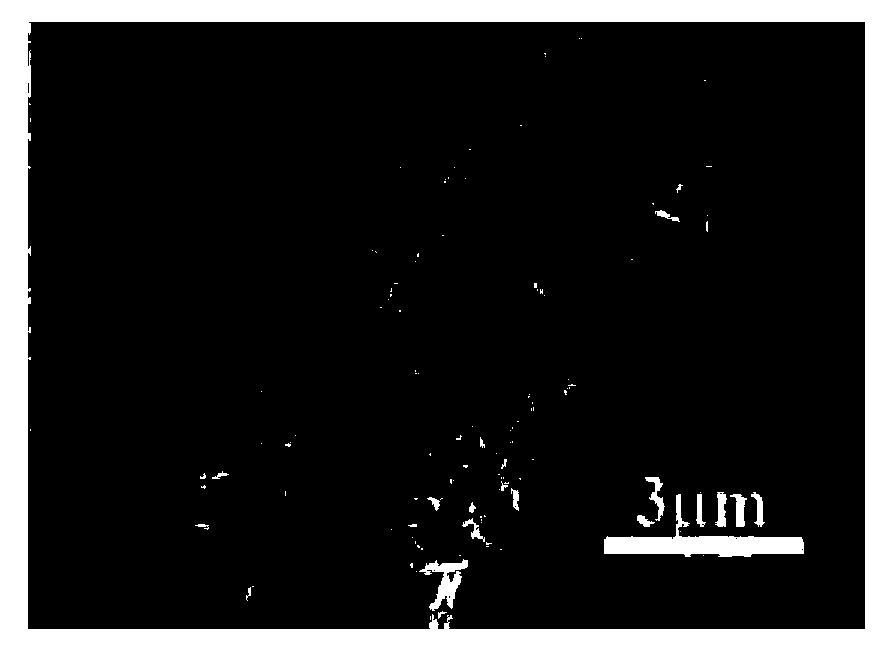 Method for preparing one-dimensional hollow superstructure photocatalytic material of Bi system composite oxide