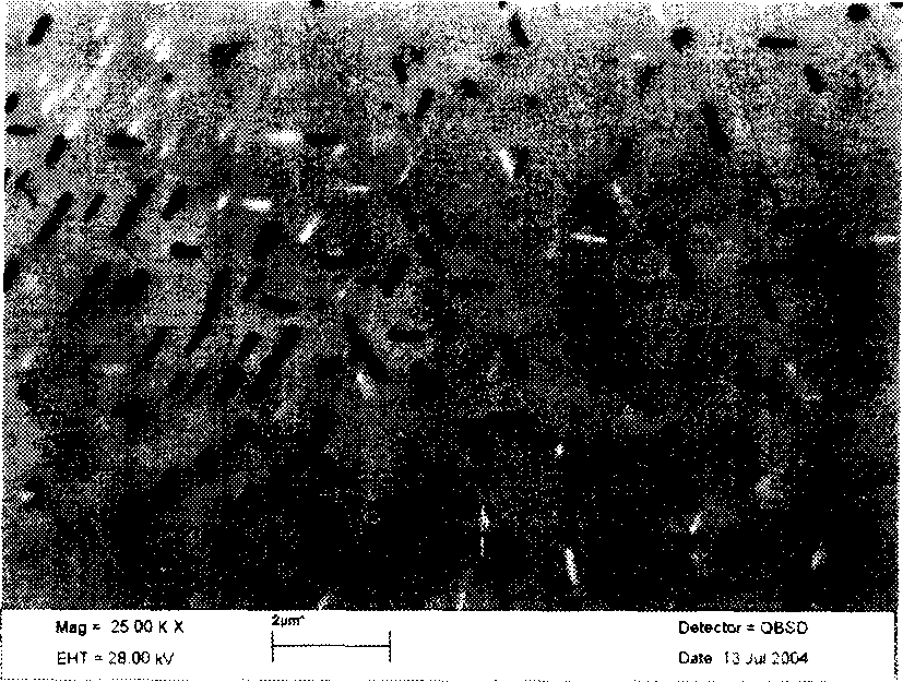 Method for observing microscopic structure of stainless steel