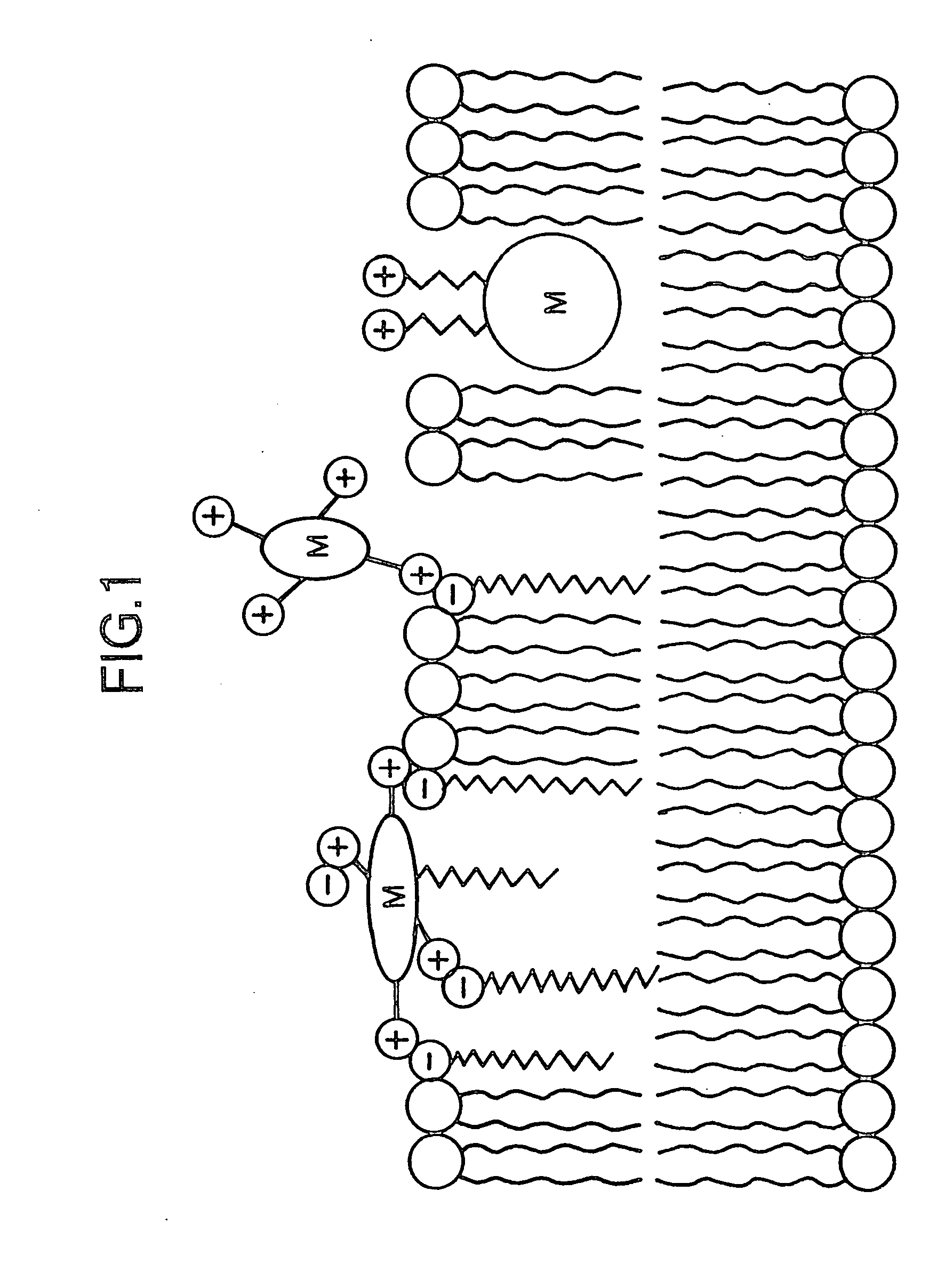 Metal-porphyrin-complex-embedded liposomes, production process thereof, and medicines making use of the same