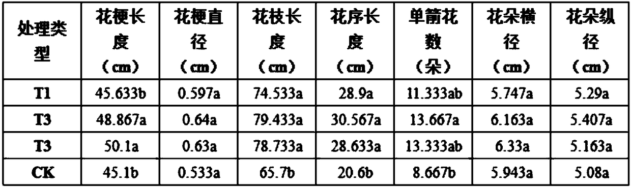 Hormone treatment method for improving flowering quality of Zaohuabaimo