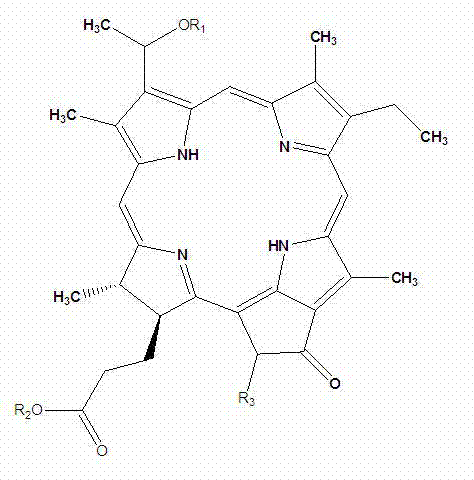 Chlorophyllin salt compound and preparation method thereof
