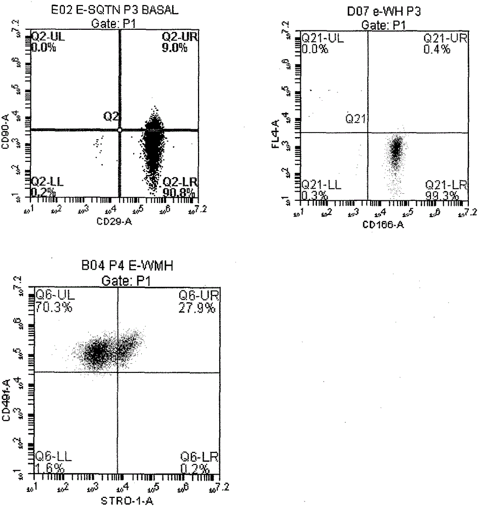 Method of preparing hepatic cells by using human minor salivary gland epithelial stem/progenitor cells and application of method