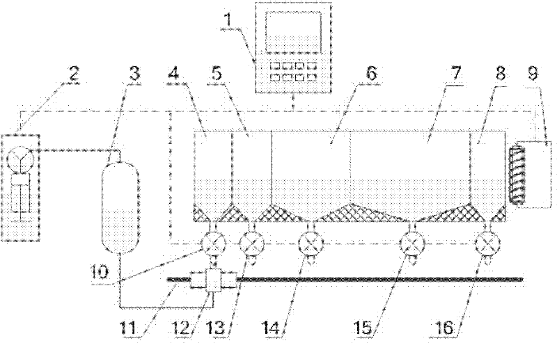 Automatic bacterial sorting and labeling method based on immune method, and apparatus thereof