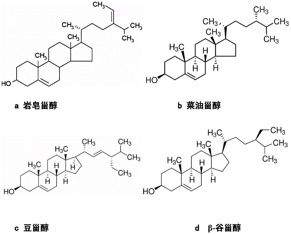 Application of hickory nut sterol extract in preparation of anti-inflammatory articles