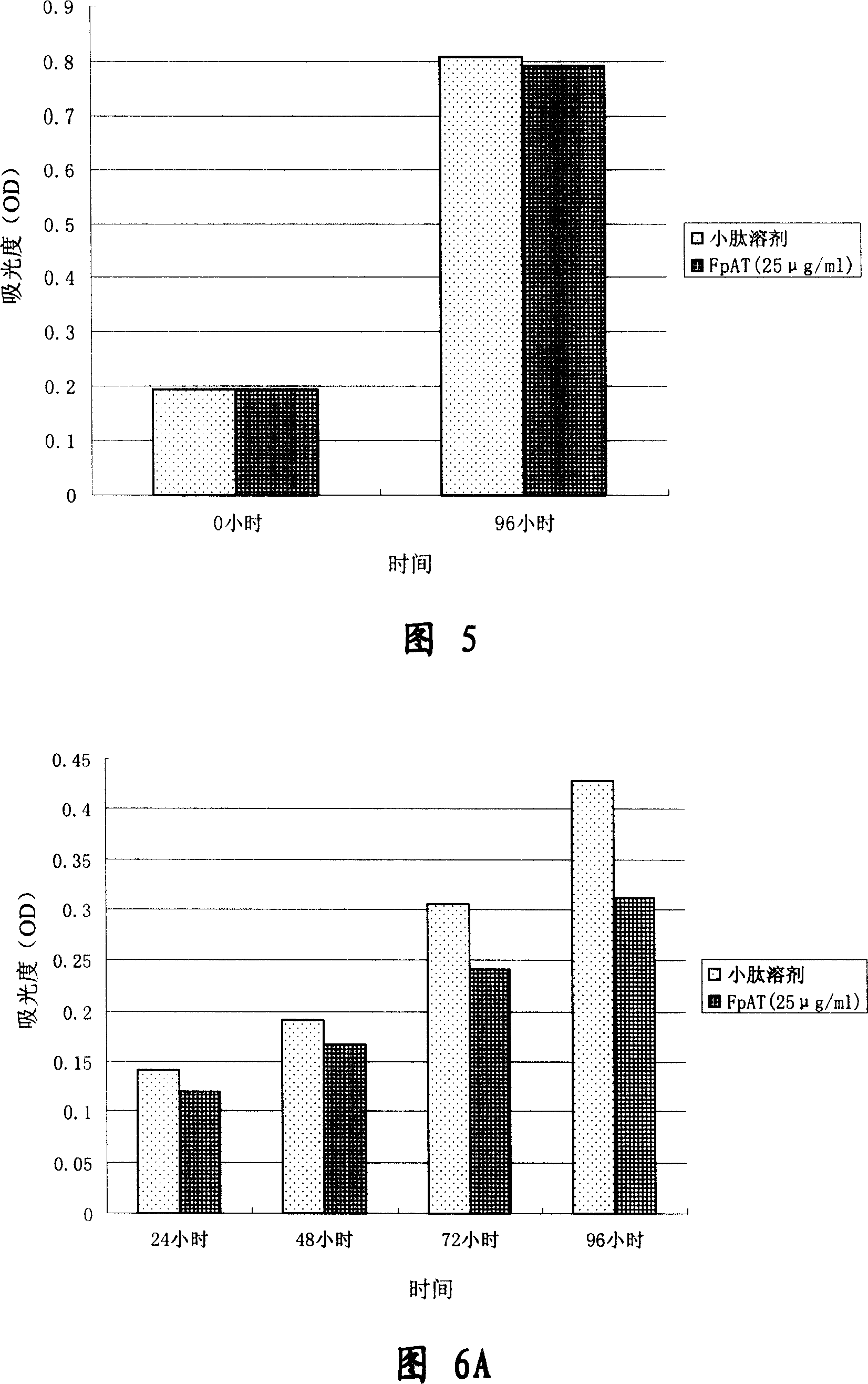 Peptide for treatment of vascellum generation and uses thereof
