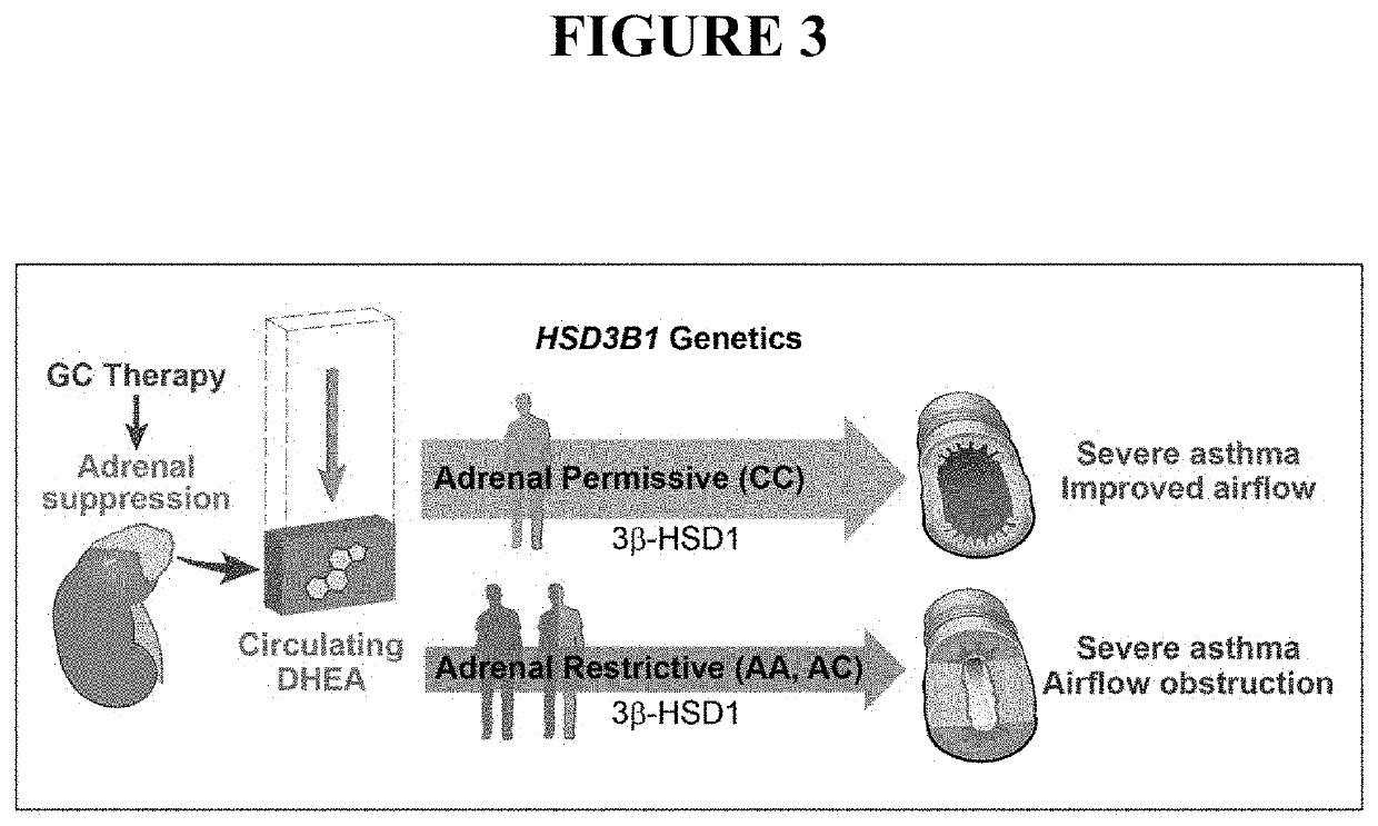 Hsd3b1 gene and 3beta-hsd1 protein variant detection for determining corticosteroid responsiveness