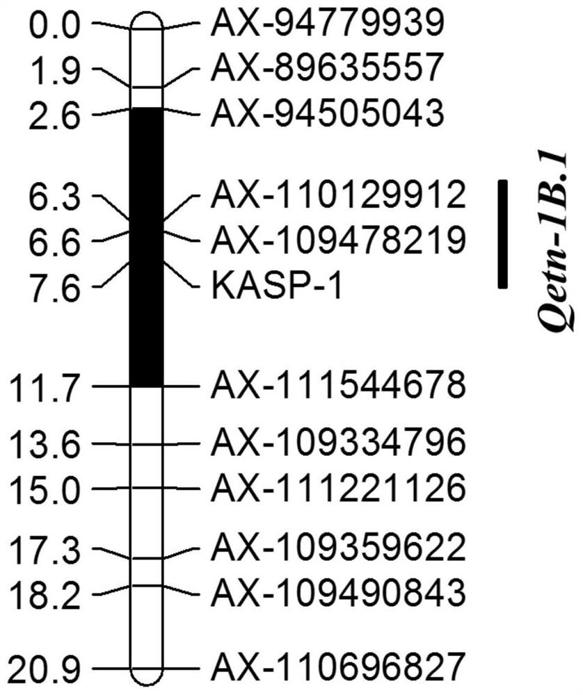 Qtl-linked Molecular Markers for Wheat Effective Tiller Number and Its Application