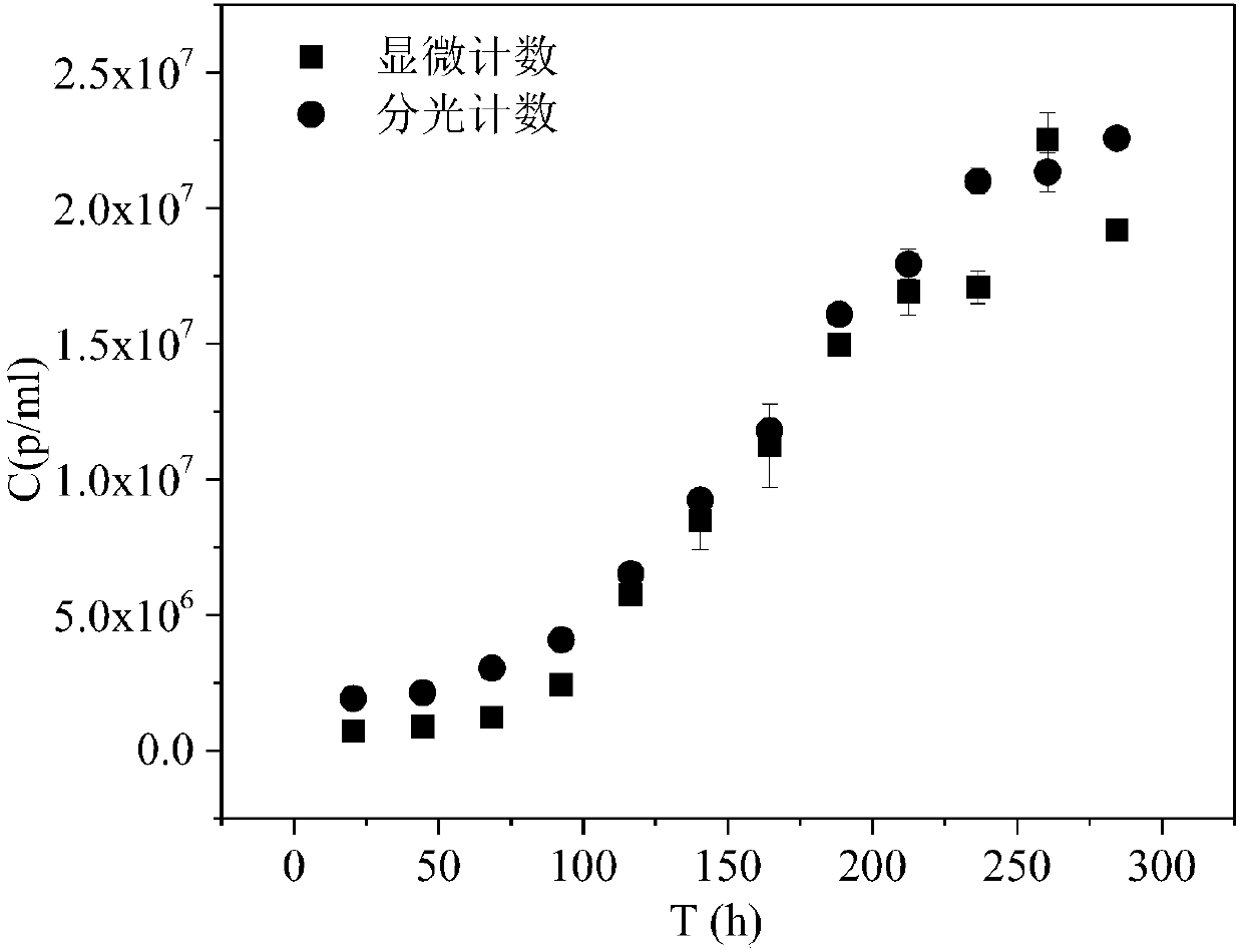 Method for rapidly quantitating Microcystis aeruginosa in water