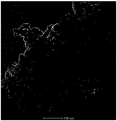 Preparation method of molybdenum sulfide complex and its application in detecting hexavalent chromium in water