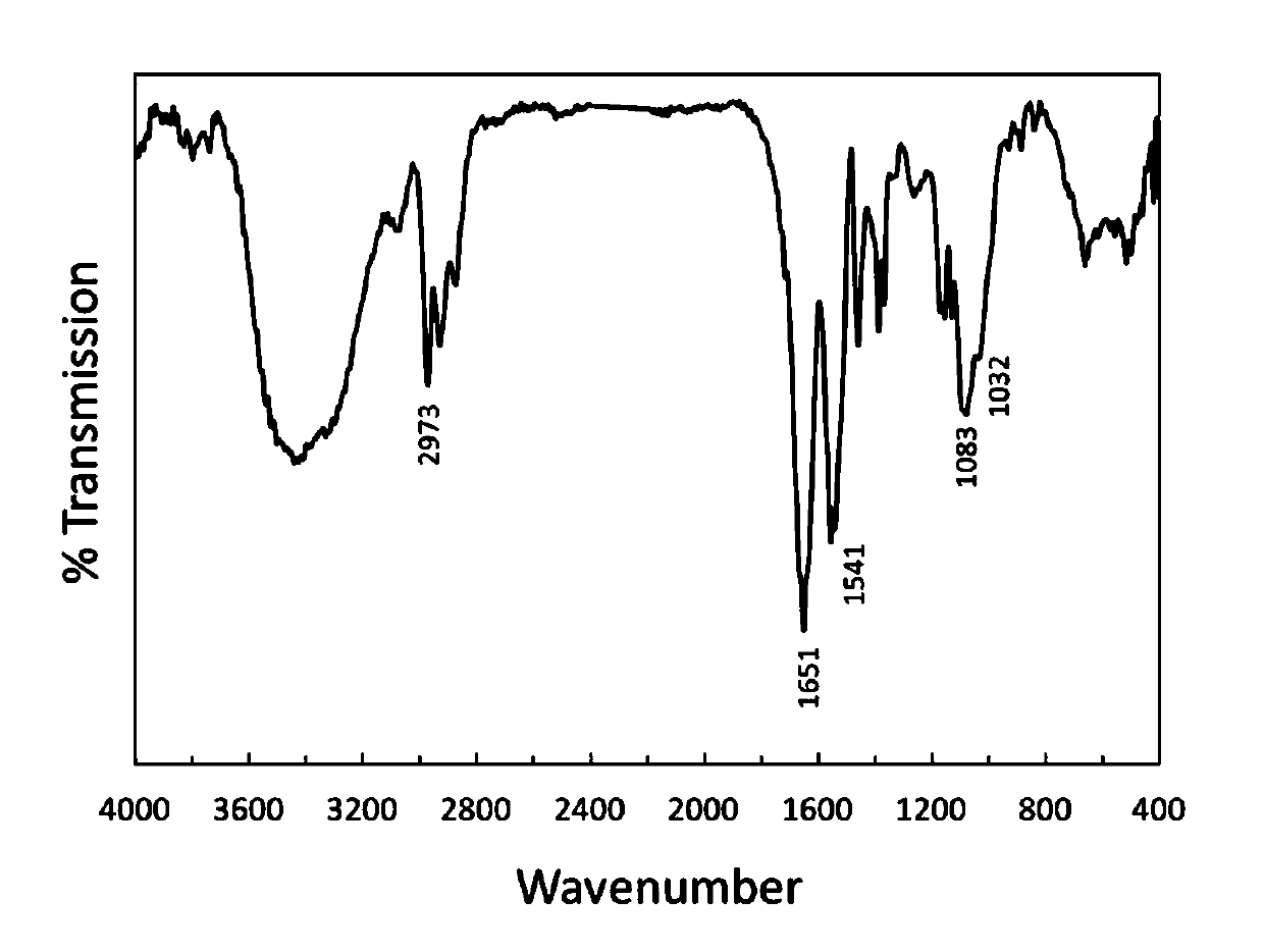 Water-soluble chitosan with thermosensitive characteristic and preparation method therefor