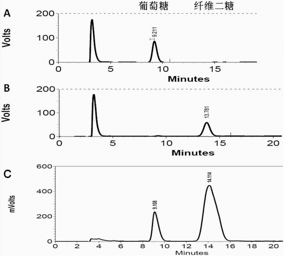 Beta-glucosaccharase gene S-bgl3 and application thereof