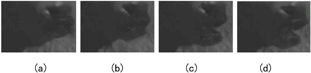 Statistical method of rumination chewing and swallowing times of cow based on machine vision