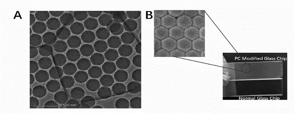 Microarray fluorescent sensing chip and application thereof