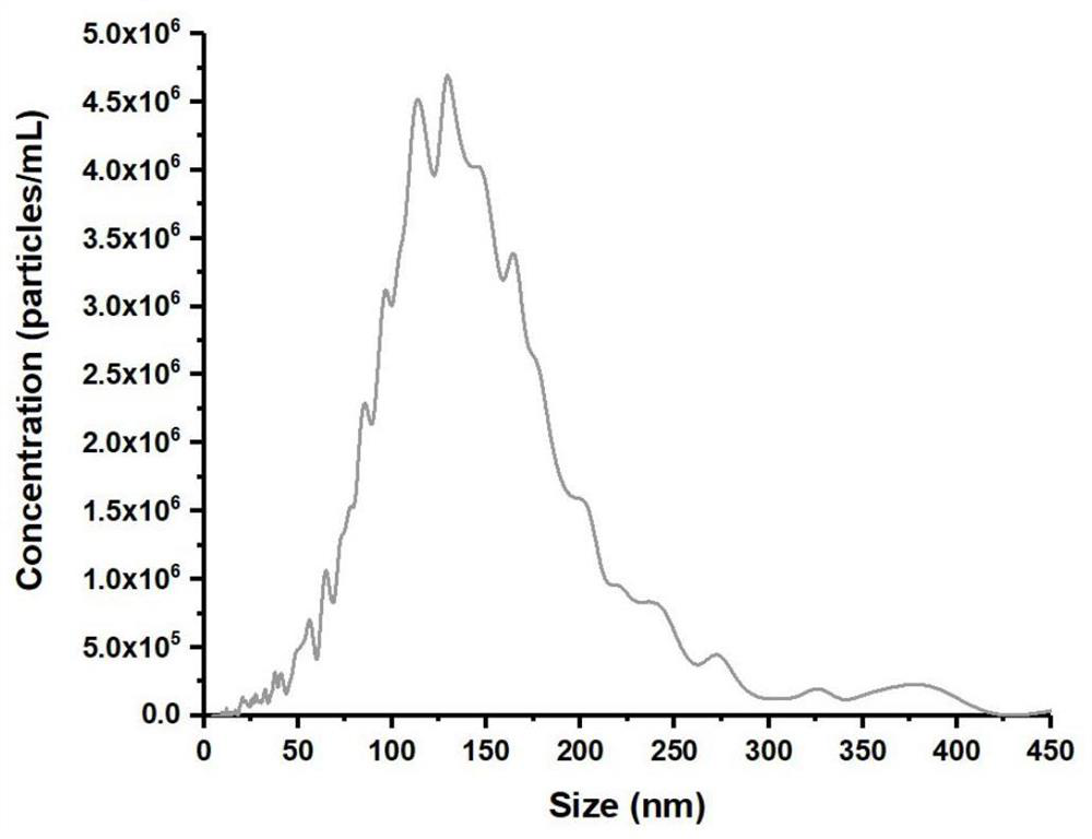 Application of marker based on TAZ level of single exosome transcription factor in serum in preparation of diagnosis for treating lung cancer