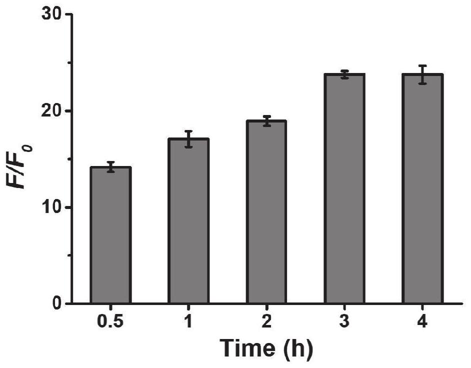 Mismatched linear double-stranded oligonucleotide probe and detection method of lncRNA