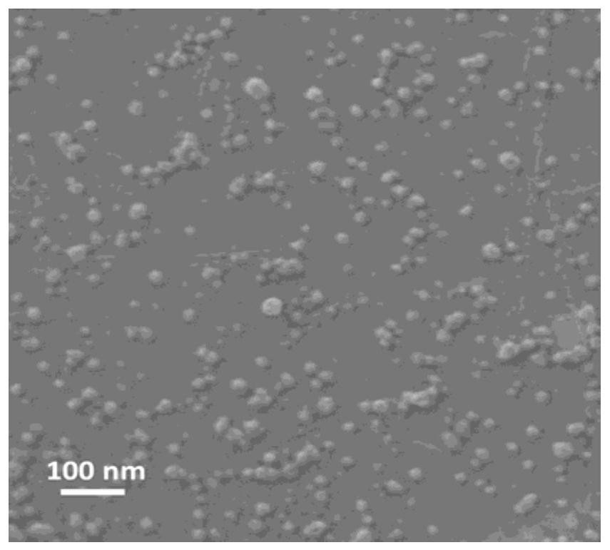 Liposome nanocarrier delivery system for targeting activated CD44 molecules, its preparation method and use