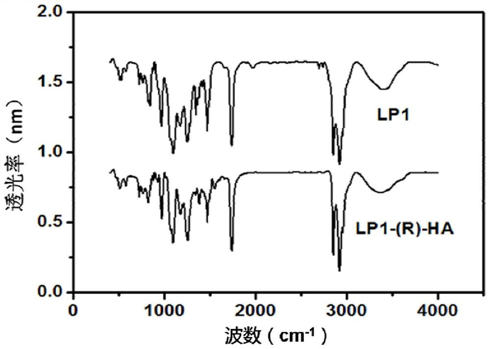 Liposome nanocarrier delivery system for targeting activated CD44 molecules, its preparation method and use