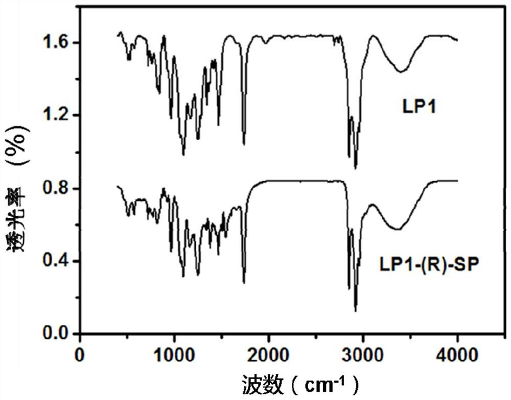 Liposome nanocarrier delivery system for targeting activated CD44 molecules, its preparation method and use