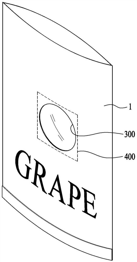 Bag with nano-laminated film for fruit of fruit trees and method of manufacturing the same