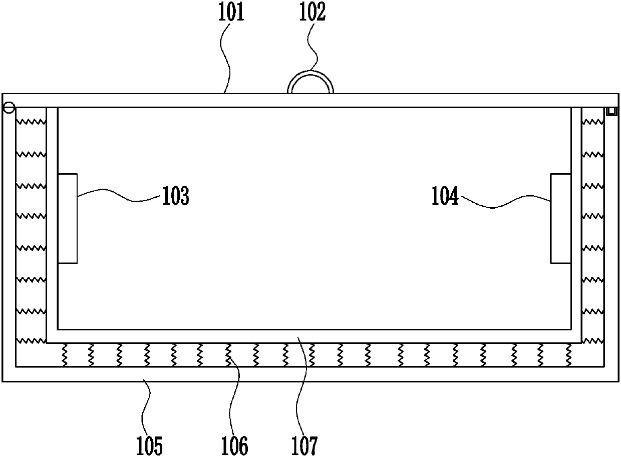 Lithium battery protection device having shock absorption function